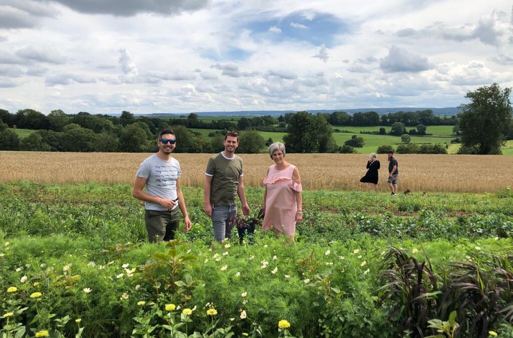 Picking garden Parentfinder