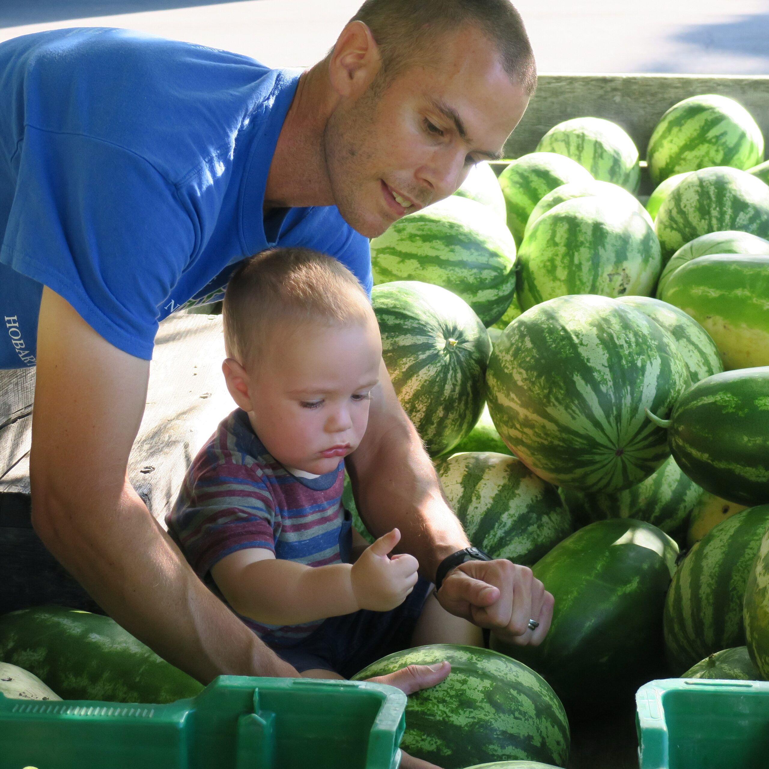 Choosing a Watermelon