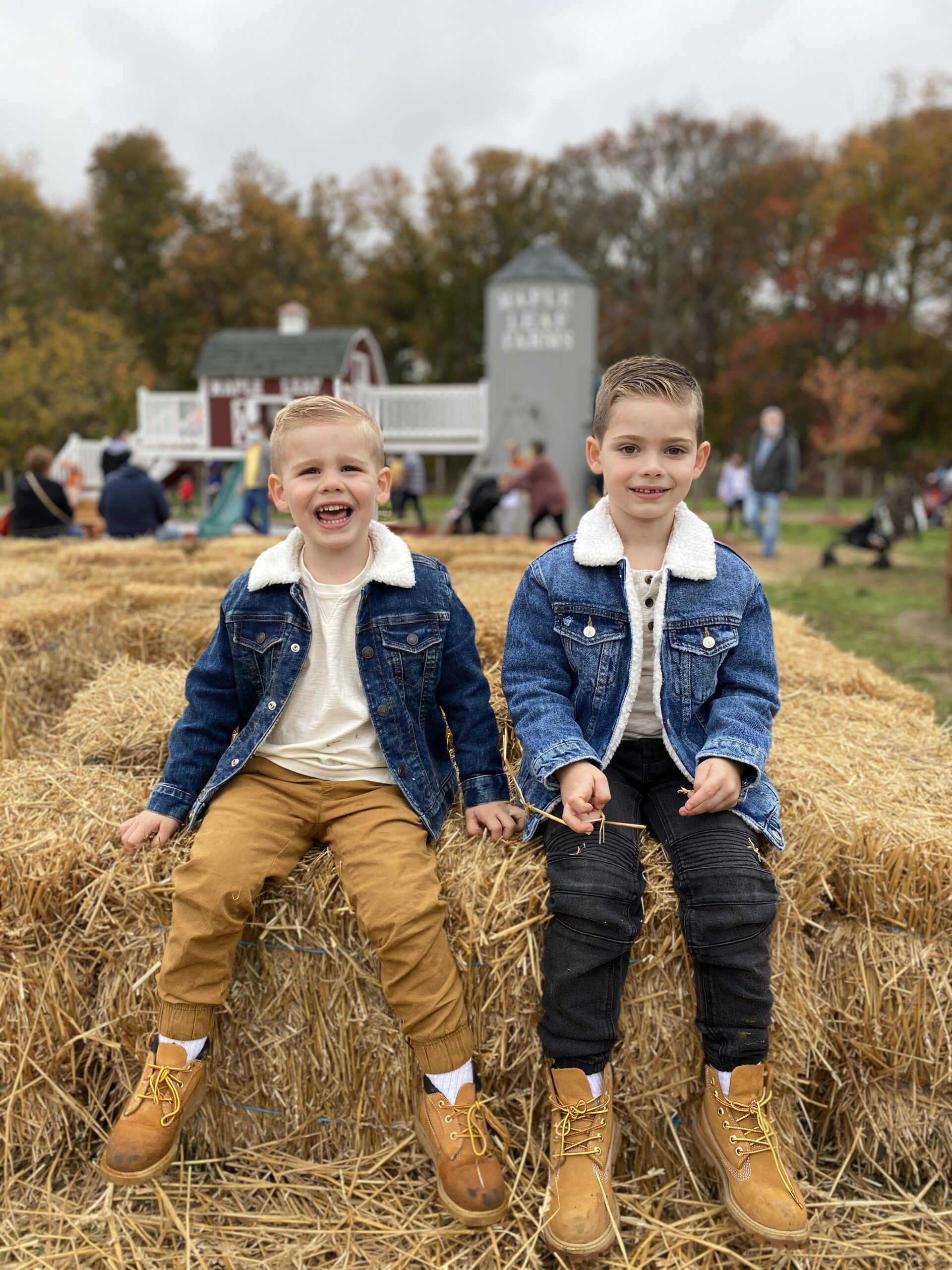 Fall Fest With Our Nephews