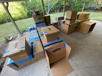 [Cardboard] Fort Night