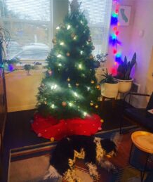 Holiday Prep!