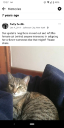 Adopted our cat Annie 7 years ago