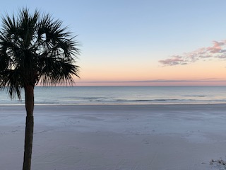 A Florida Christmas