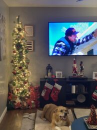 Christmas Movie Season