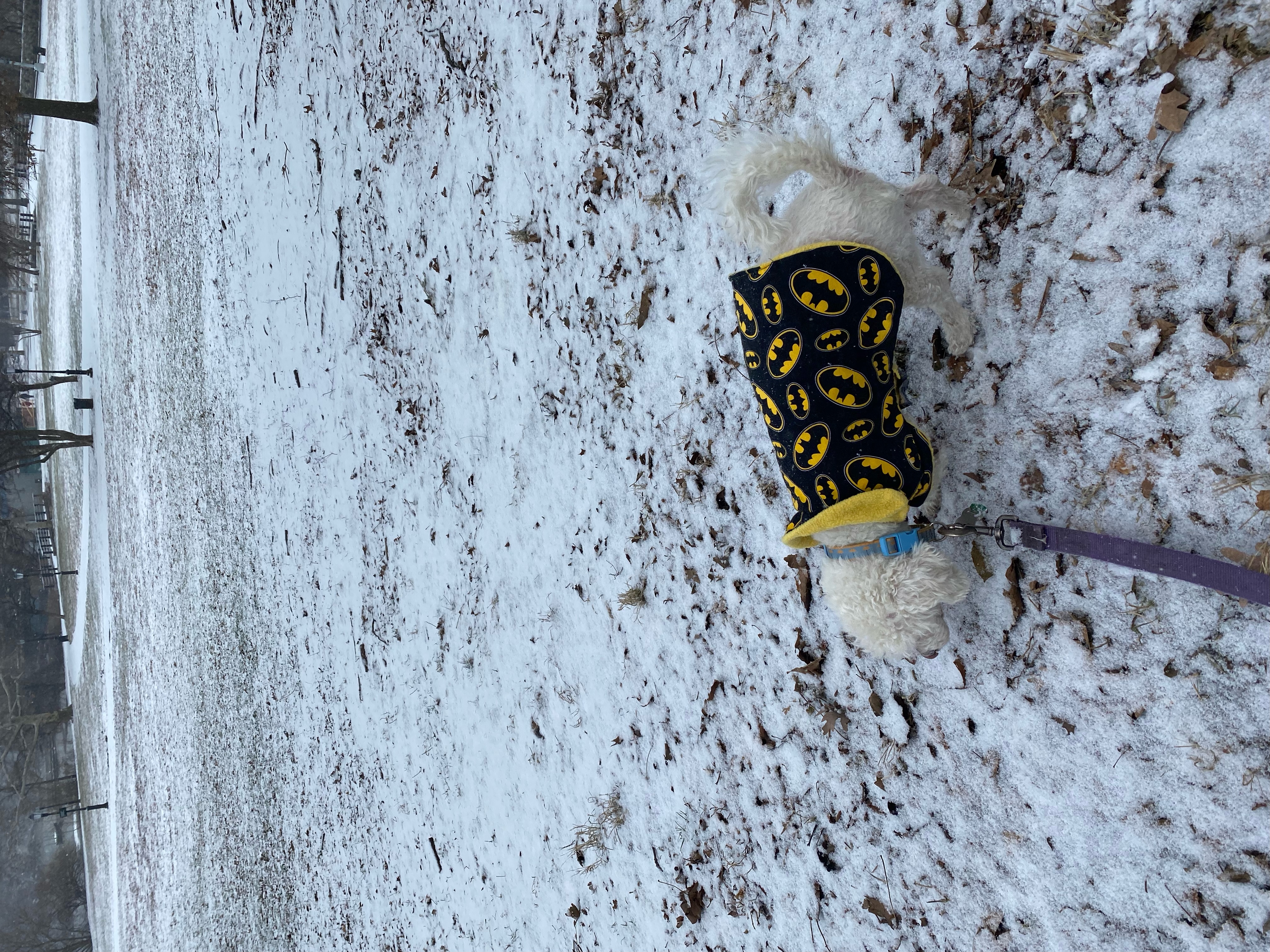 Batman to the rescue ❄️☃️?