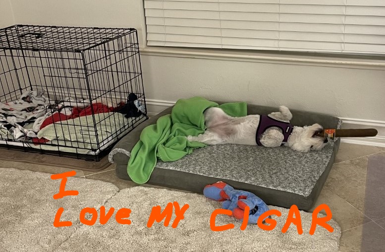 Florida is Cold For a Change