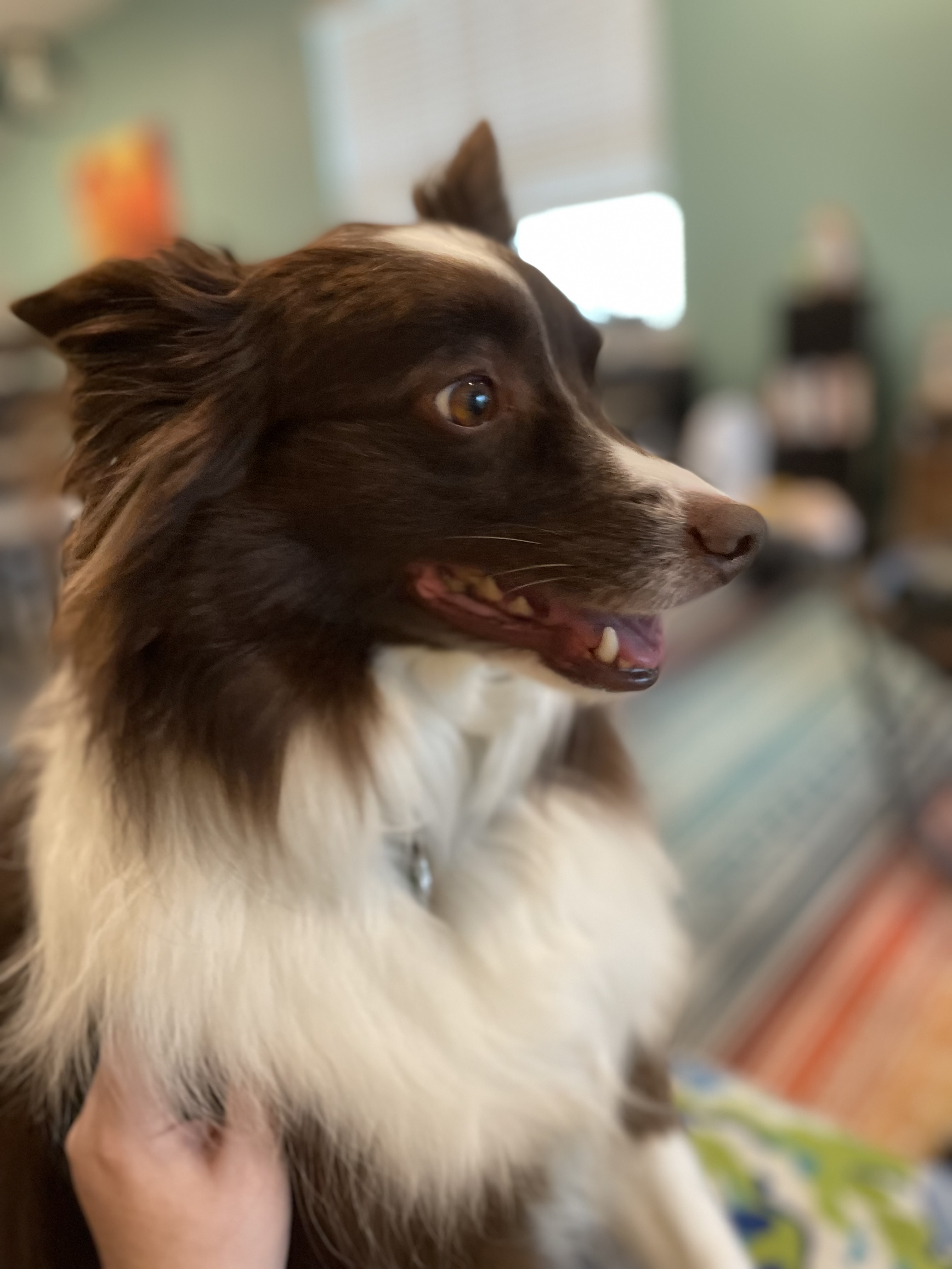 Getting Ready For Work