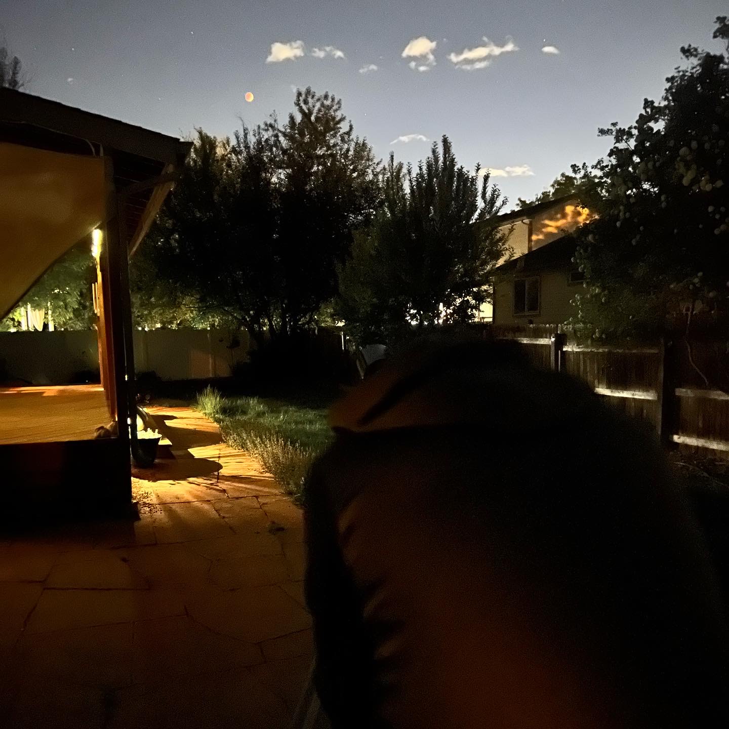 Nighttime Outside Fun