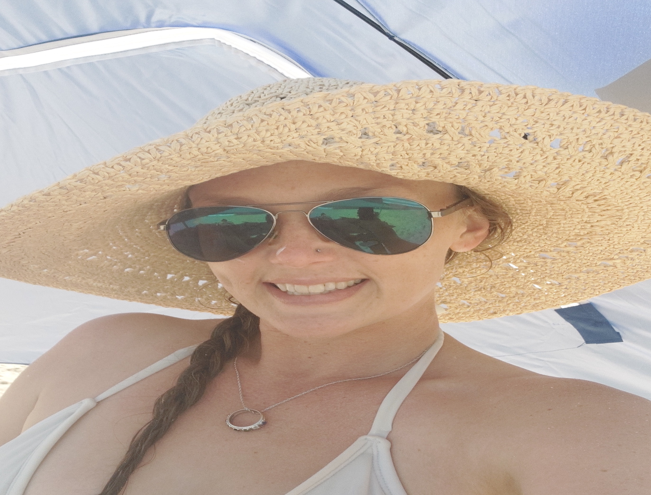 Sun, Sails, and wagging tails