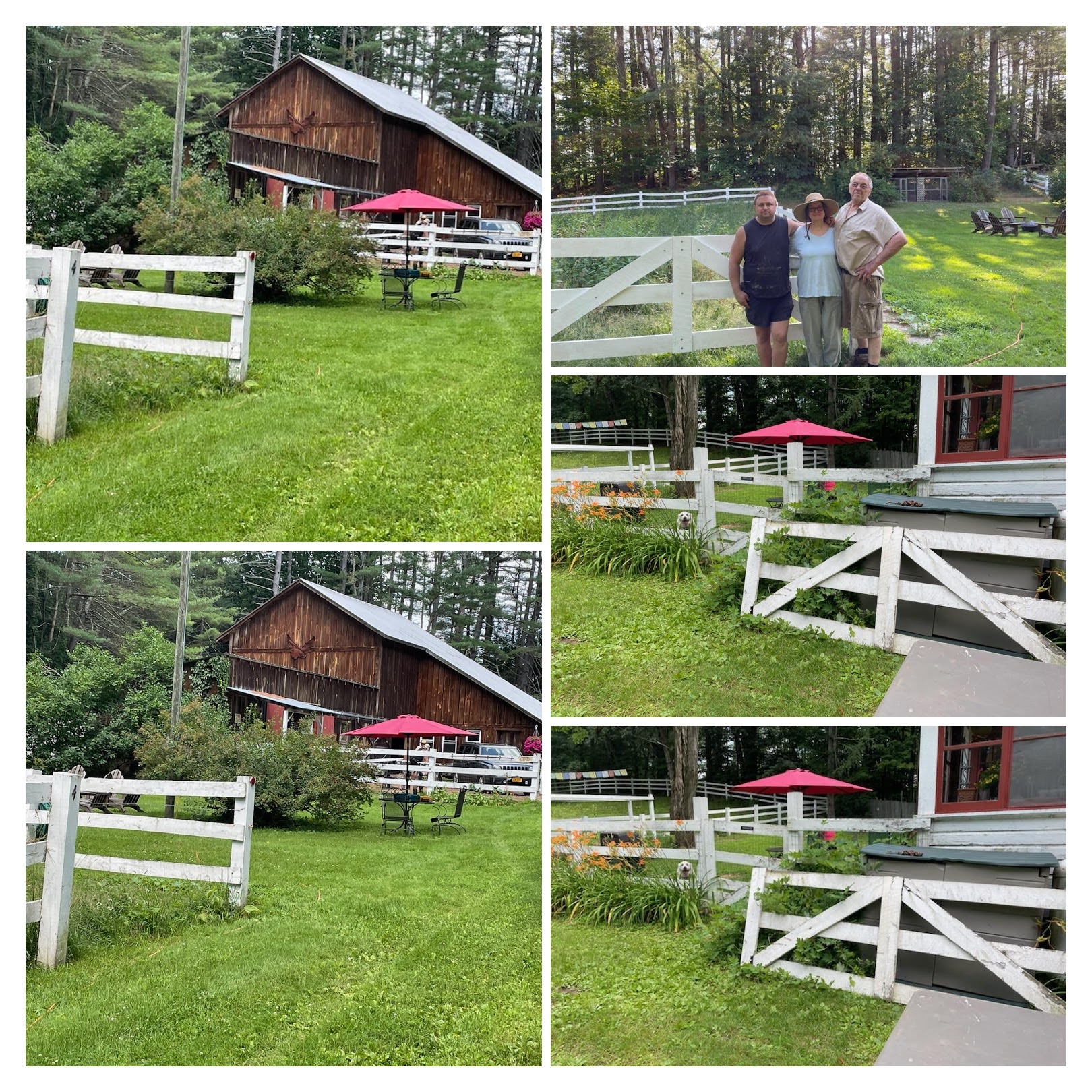 Helping his parents on the farm upstate