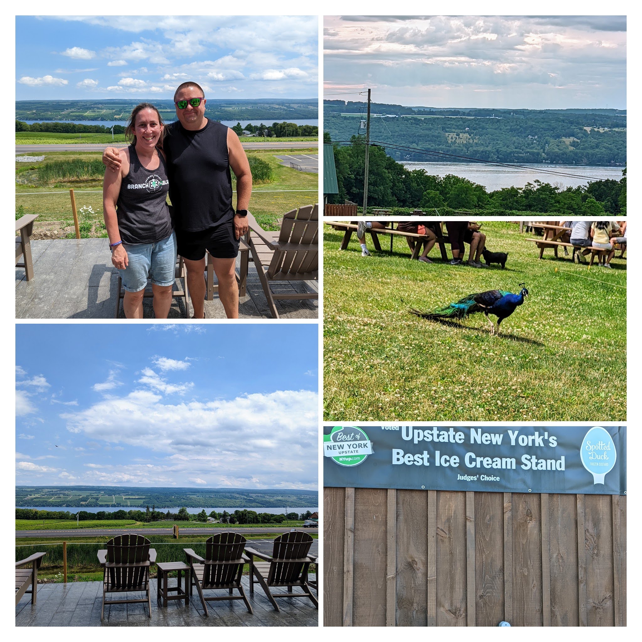 Finger Lakes NY