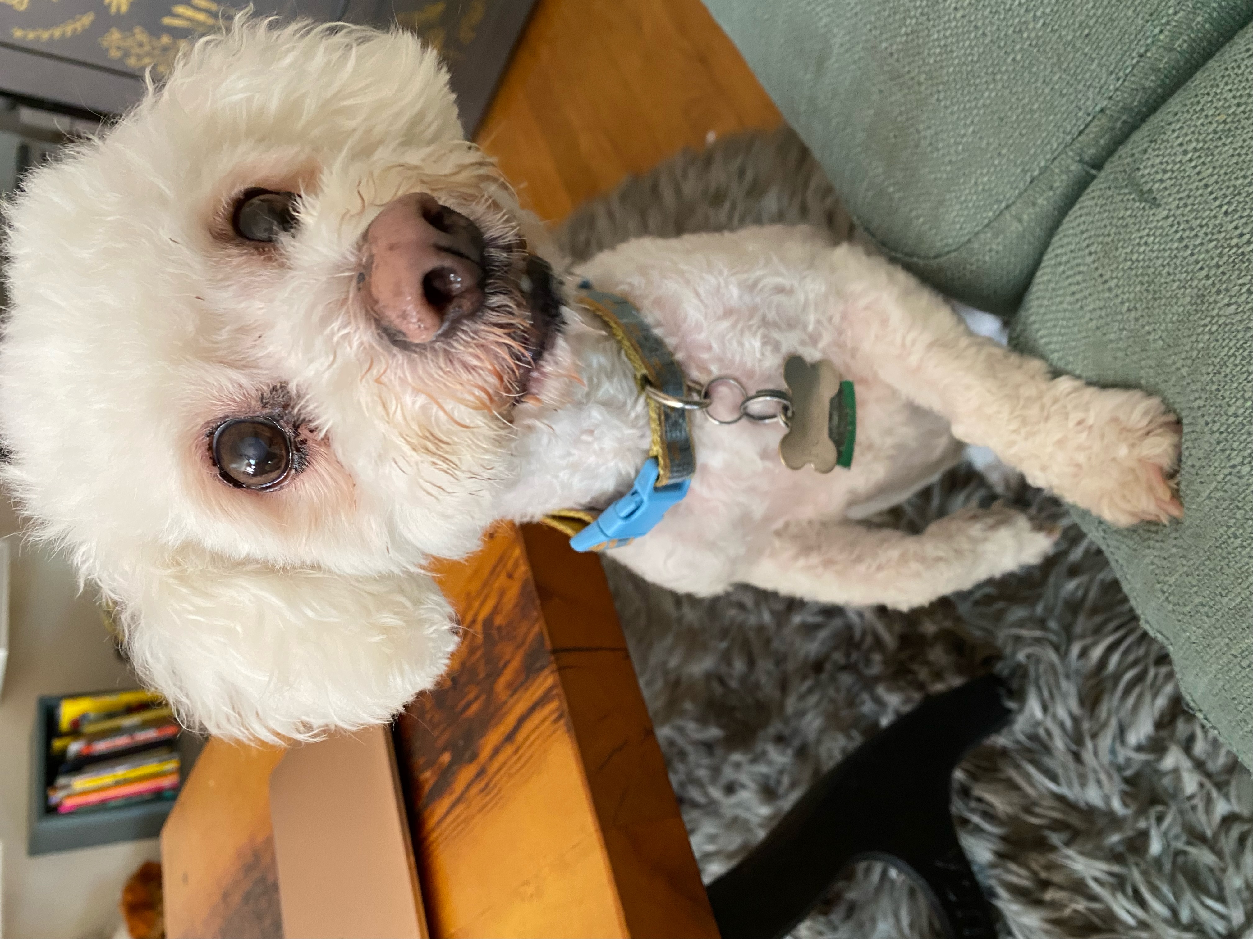 Coffee, please? ☕️