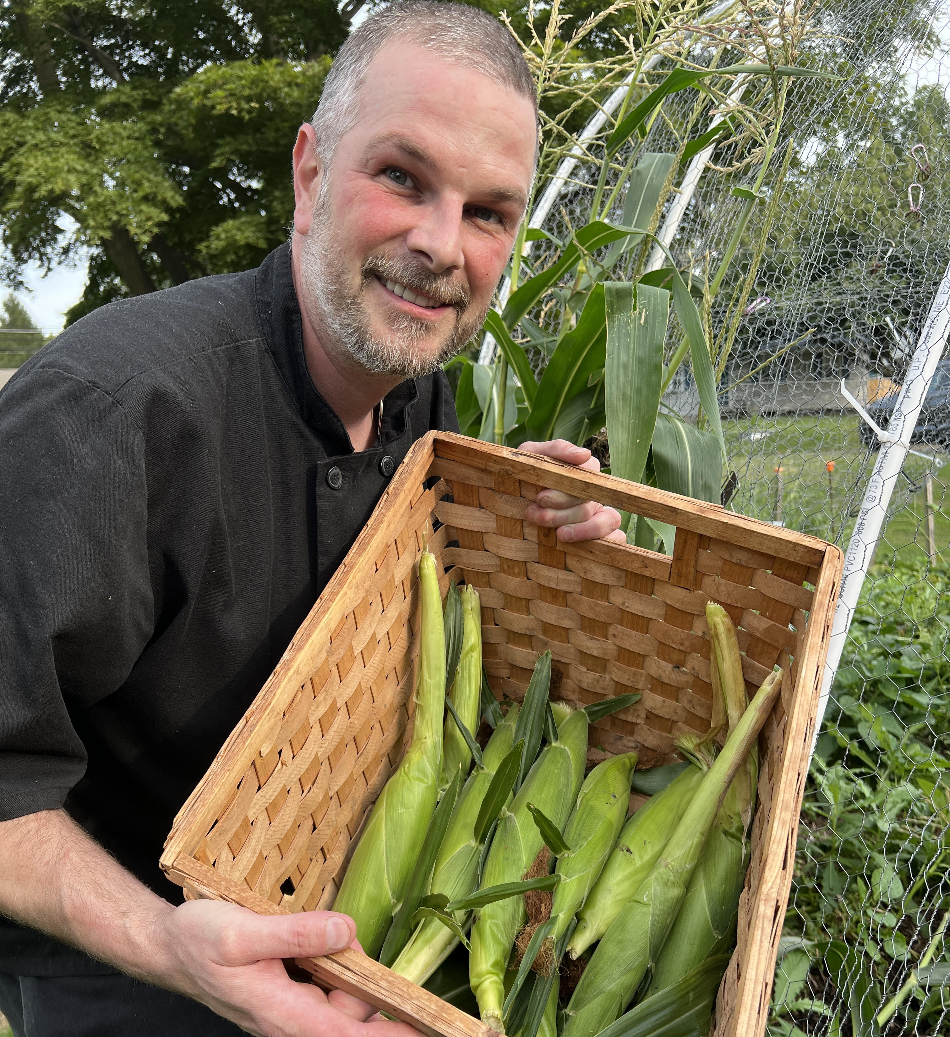 Our Delicious Summer Sweet Corn Has Been Harvested!
