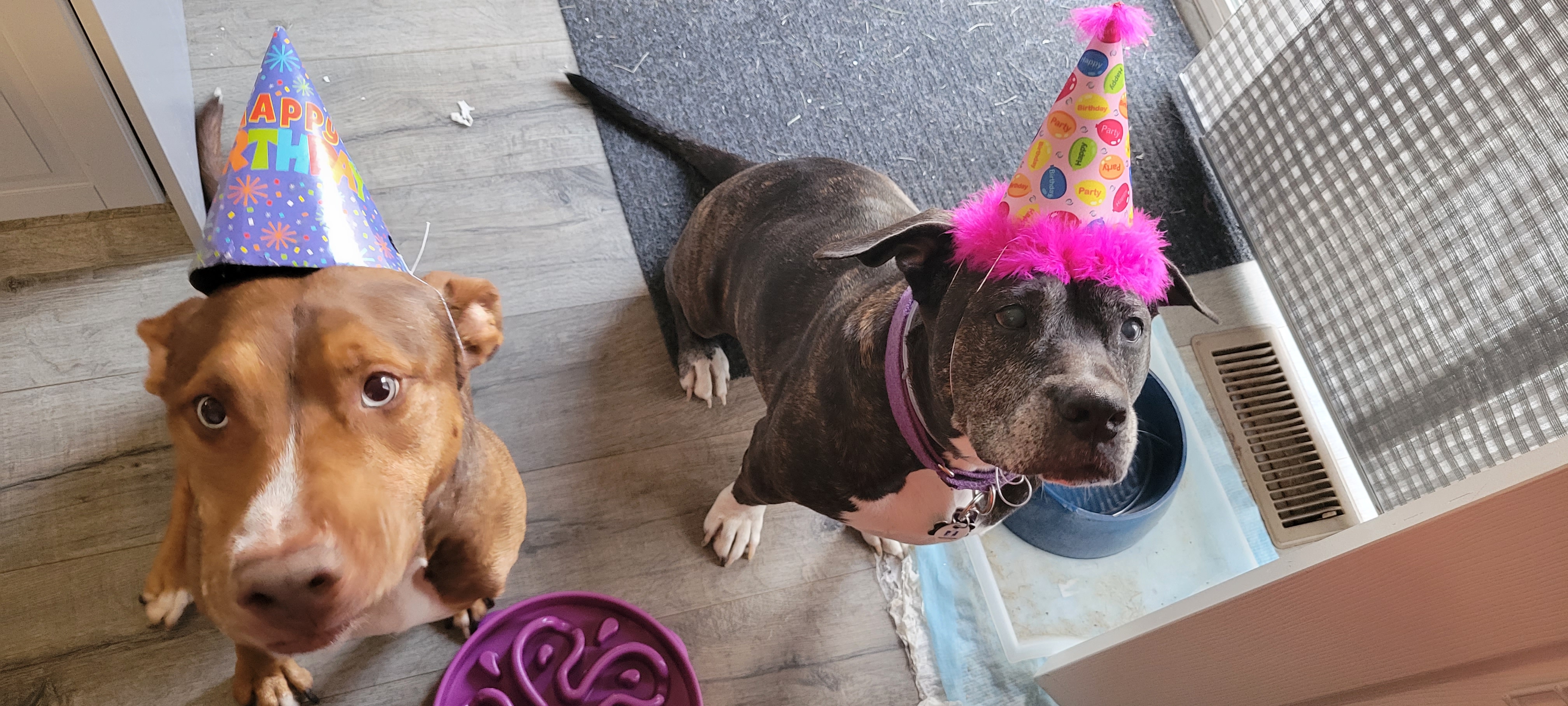 Bella’s 10th Birthday!
