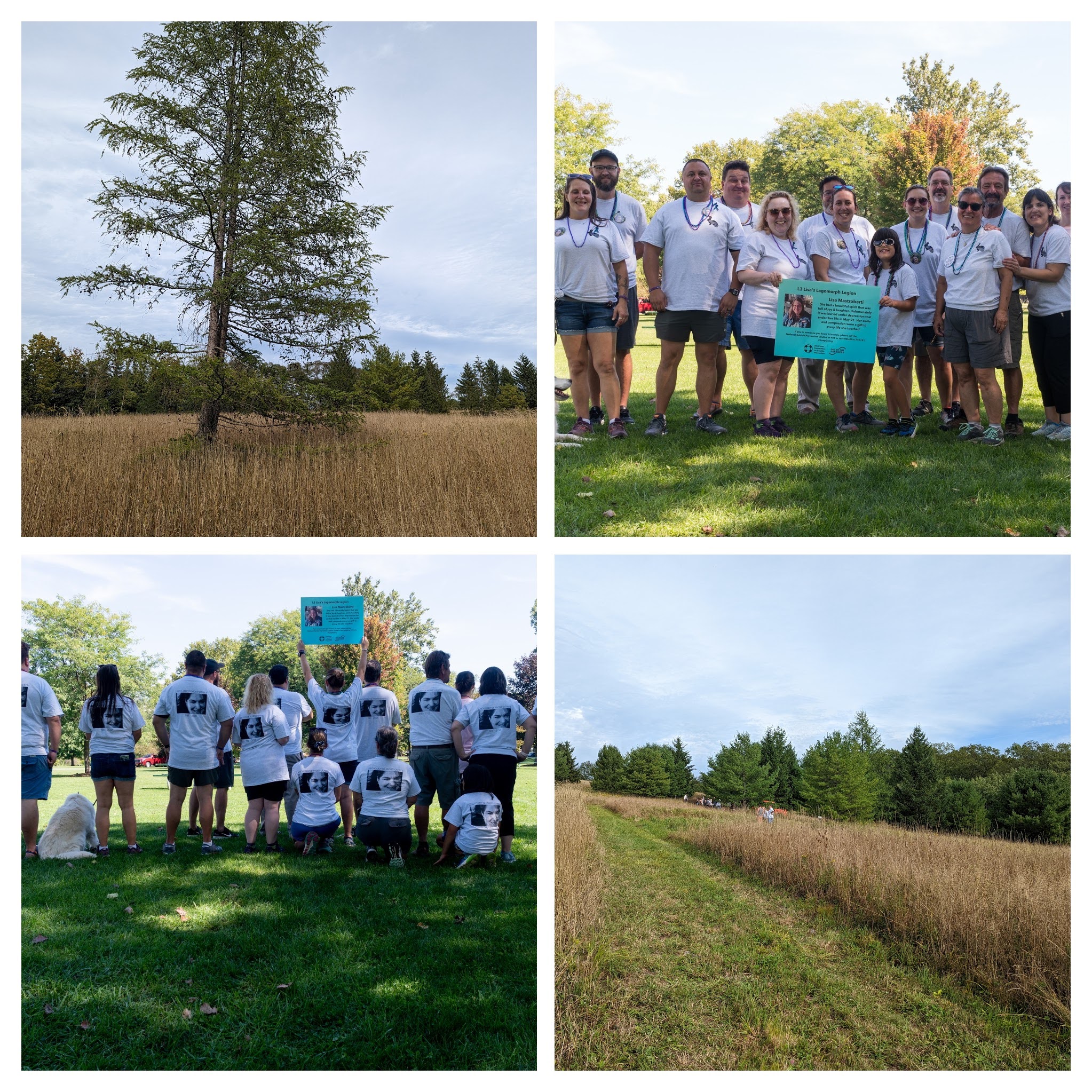 Walk to fight Suicide