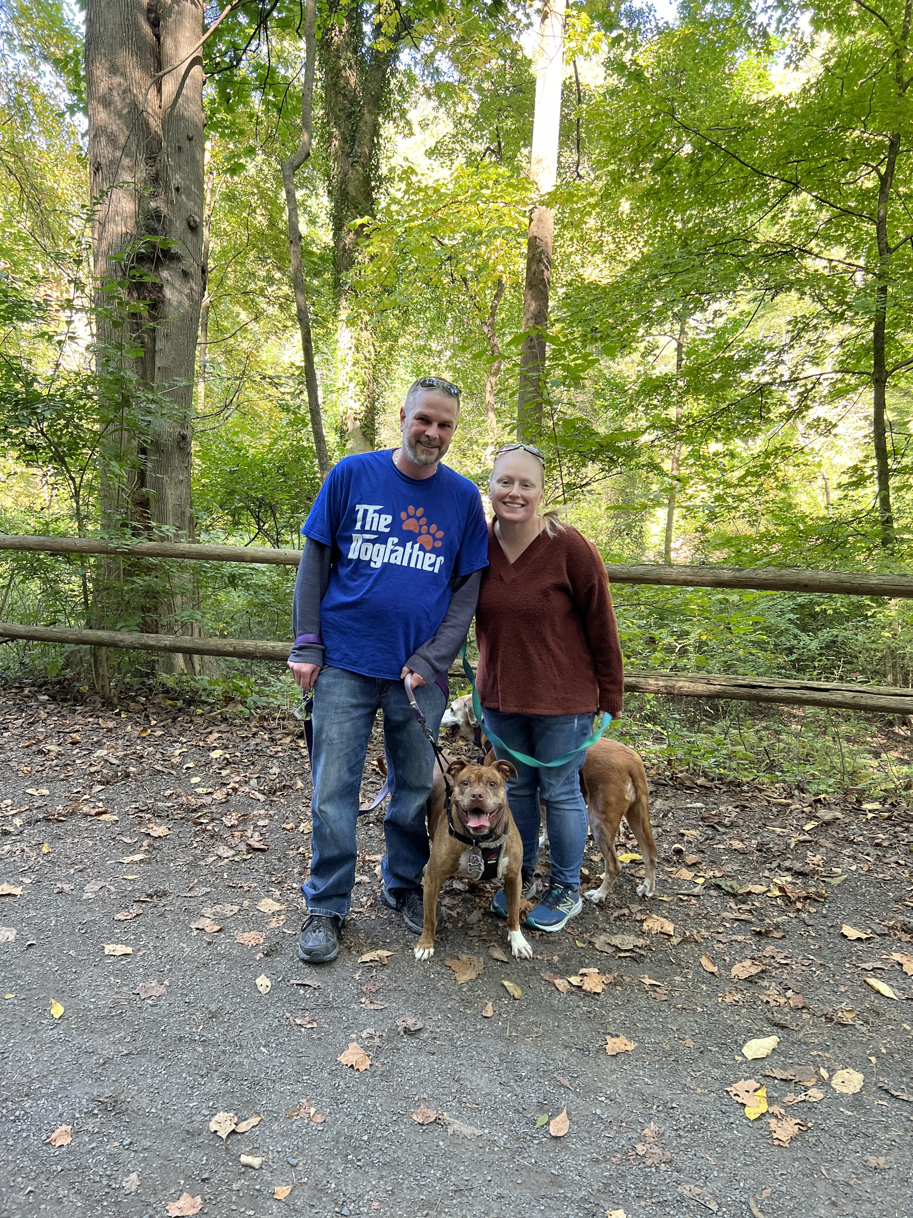 Autumn Walks in the Park