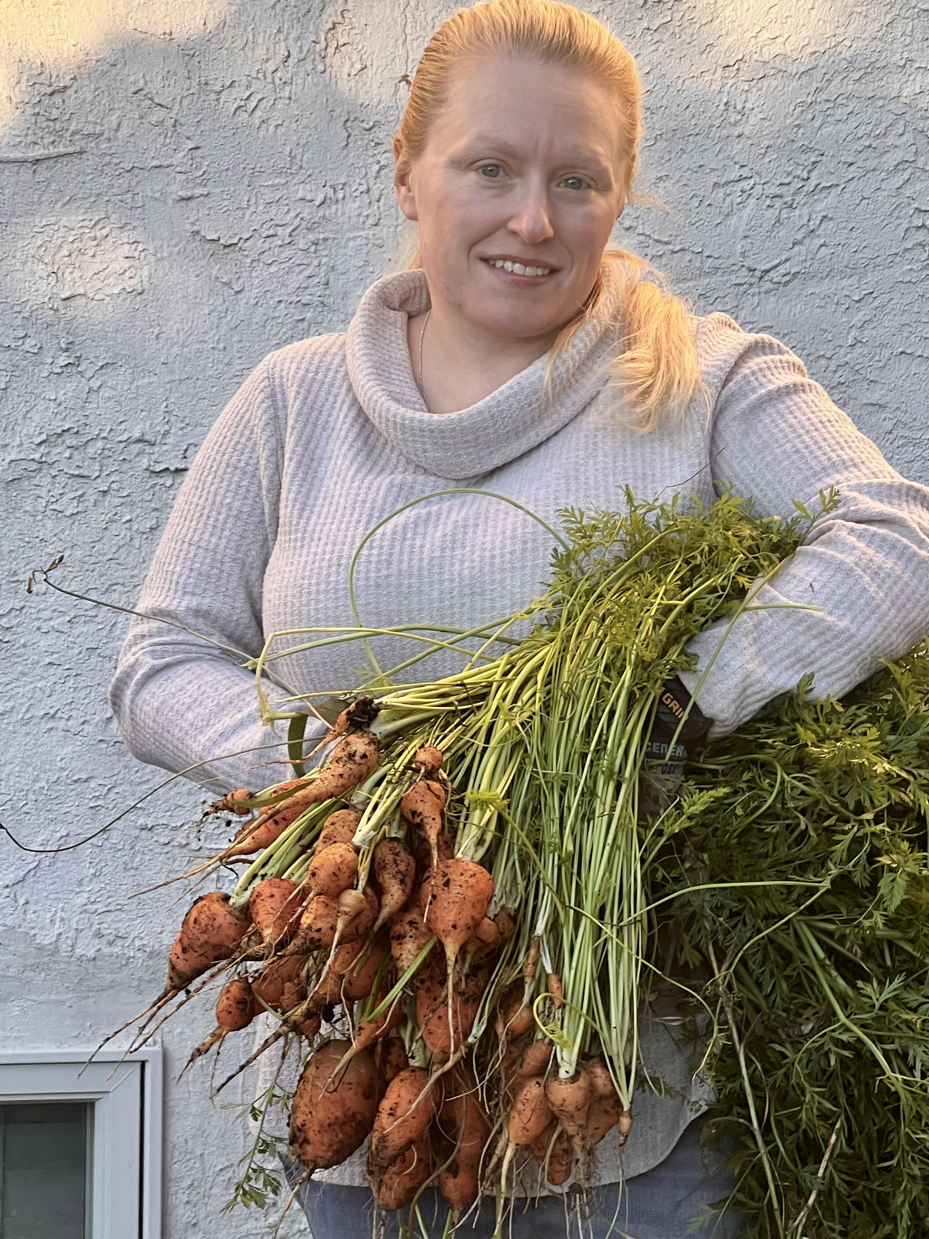 Carrot Harvest