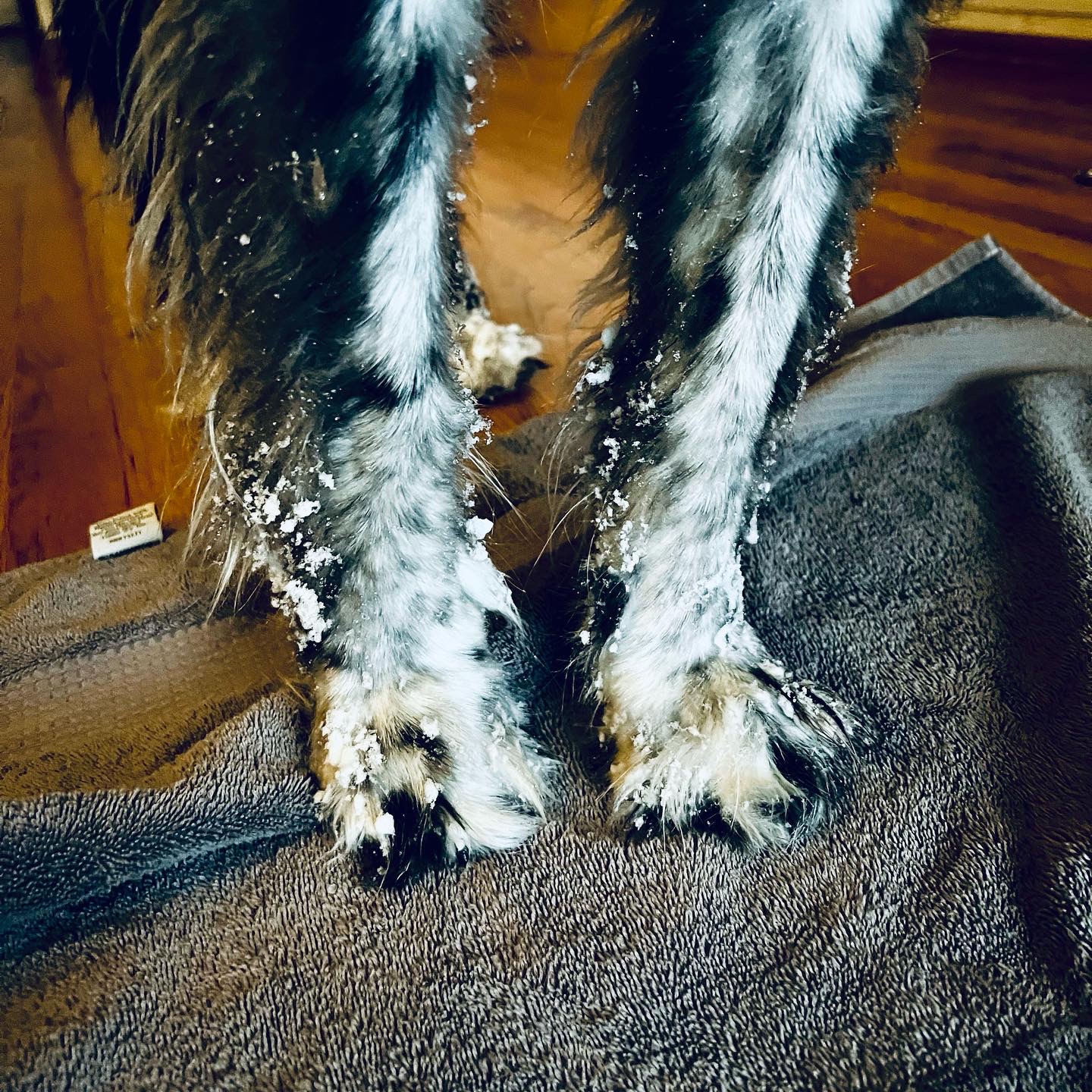 First Snow of the Season!