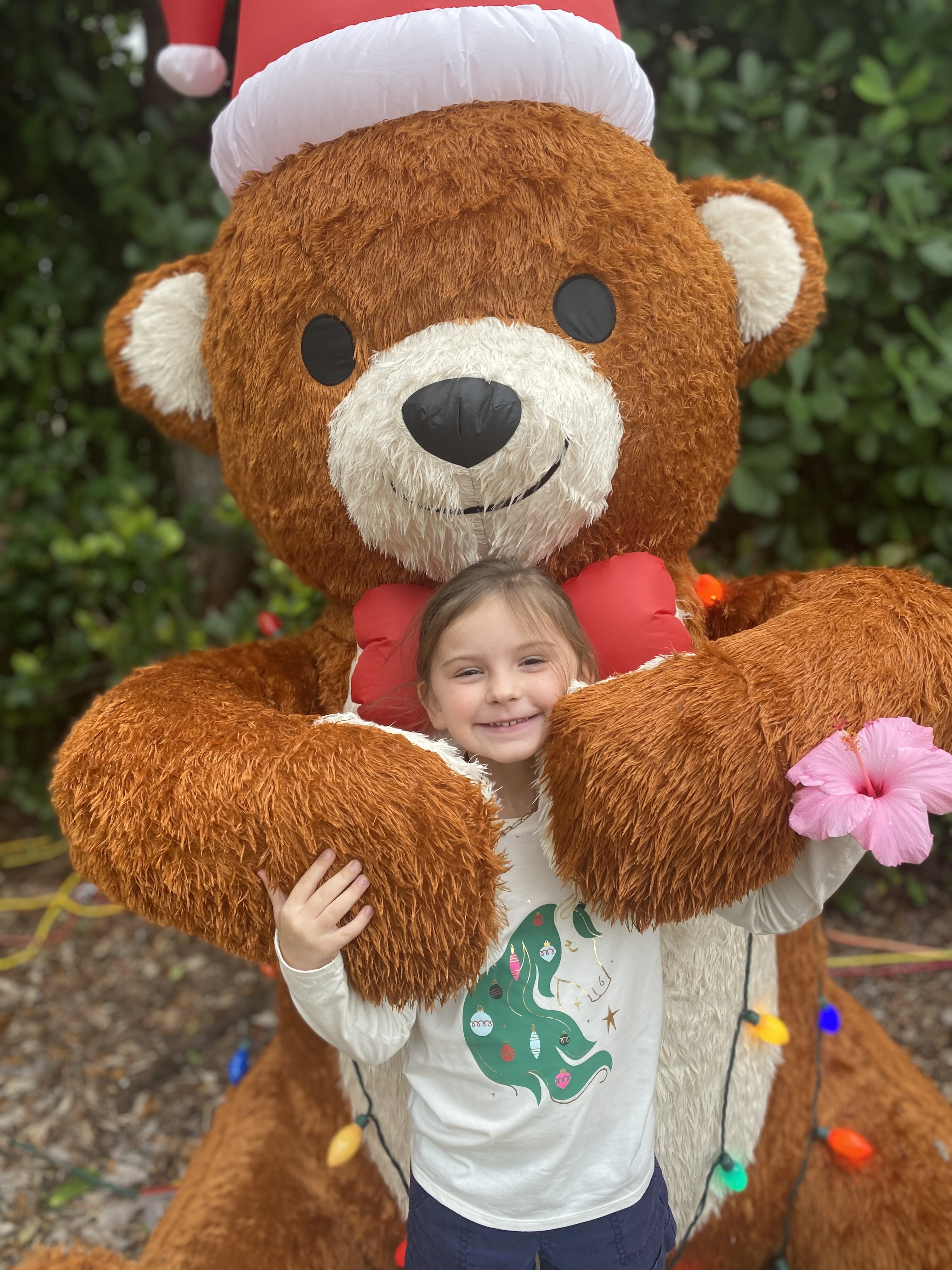 ? Tis the Season to be Jolly ?