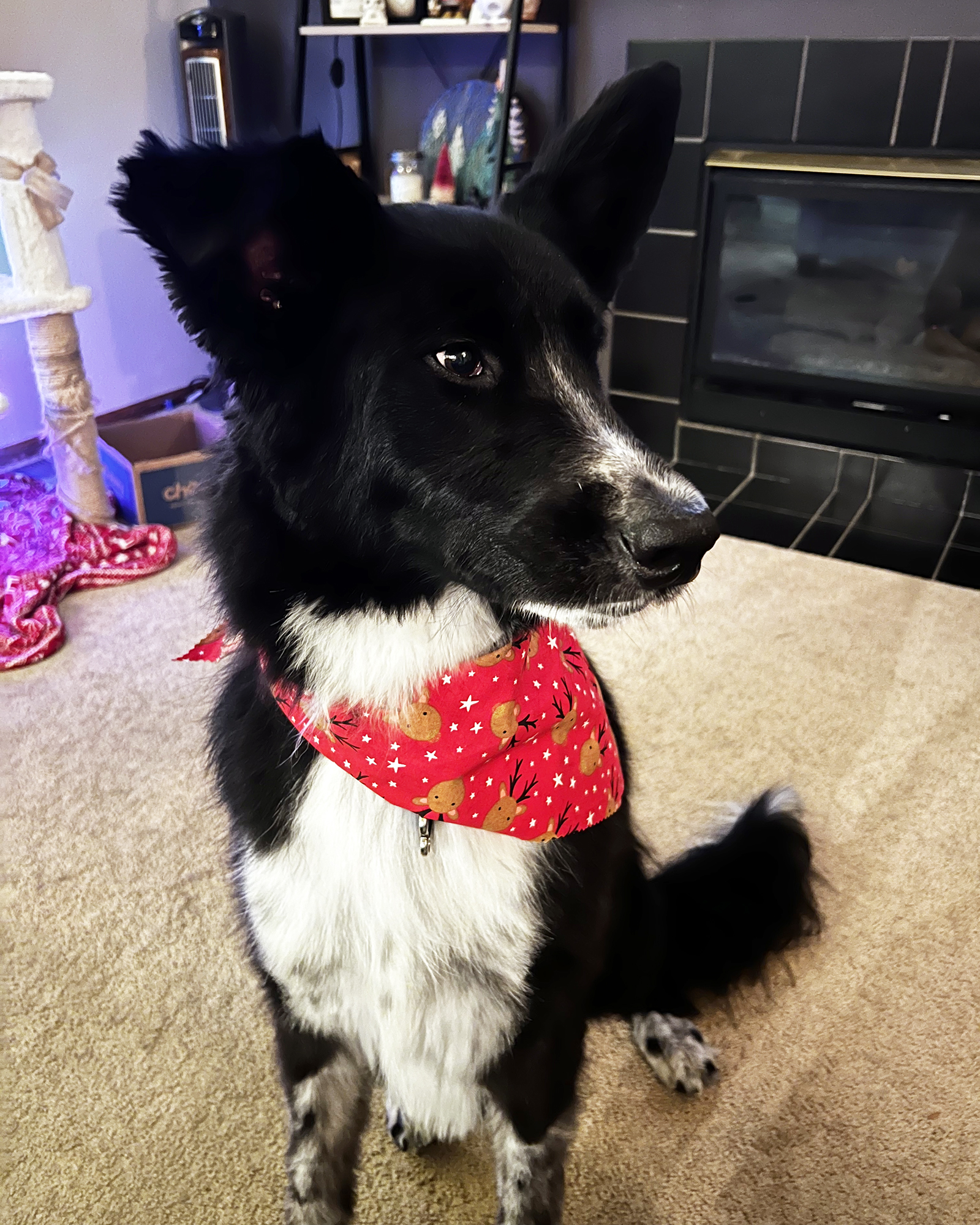 Scenes From This Week