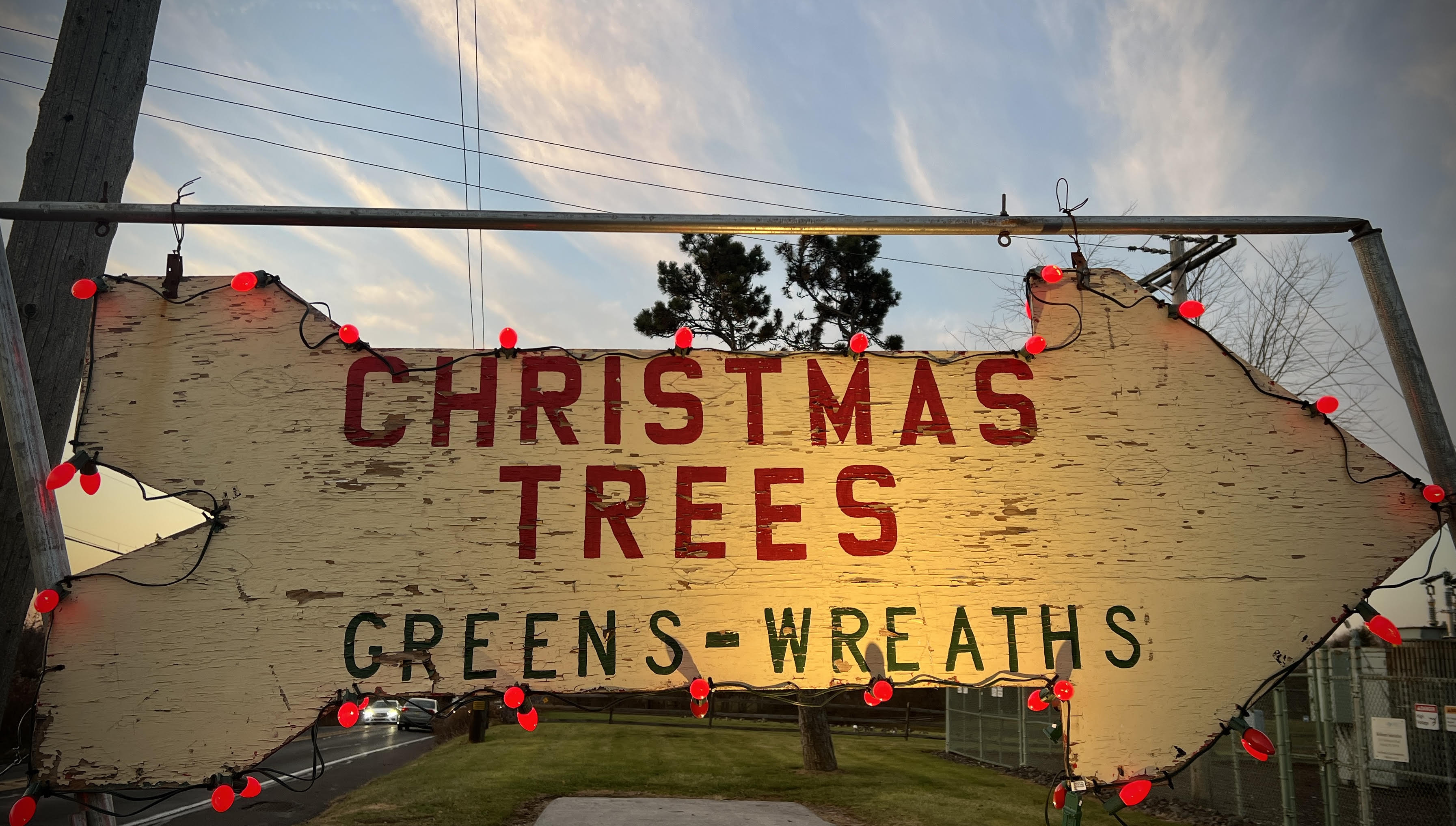 Christmas Tree Shopping