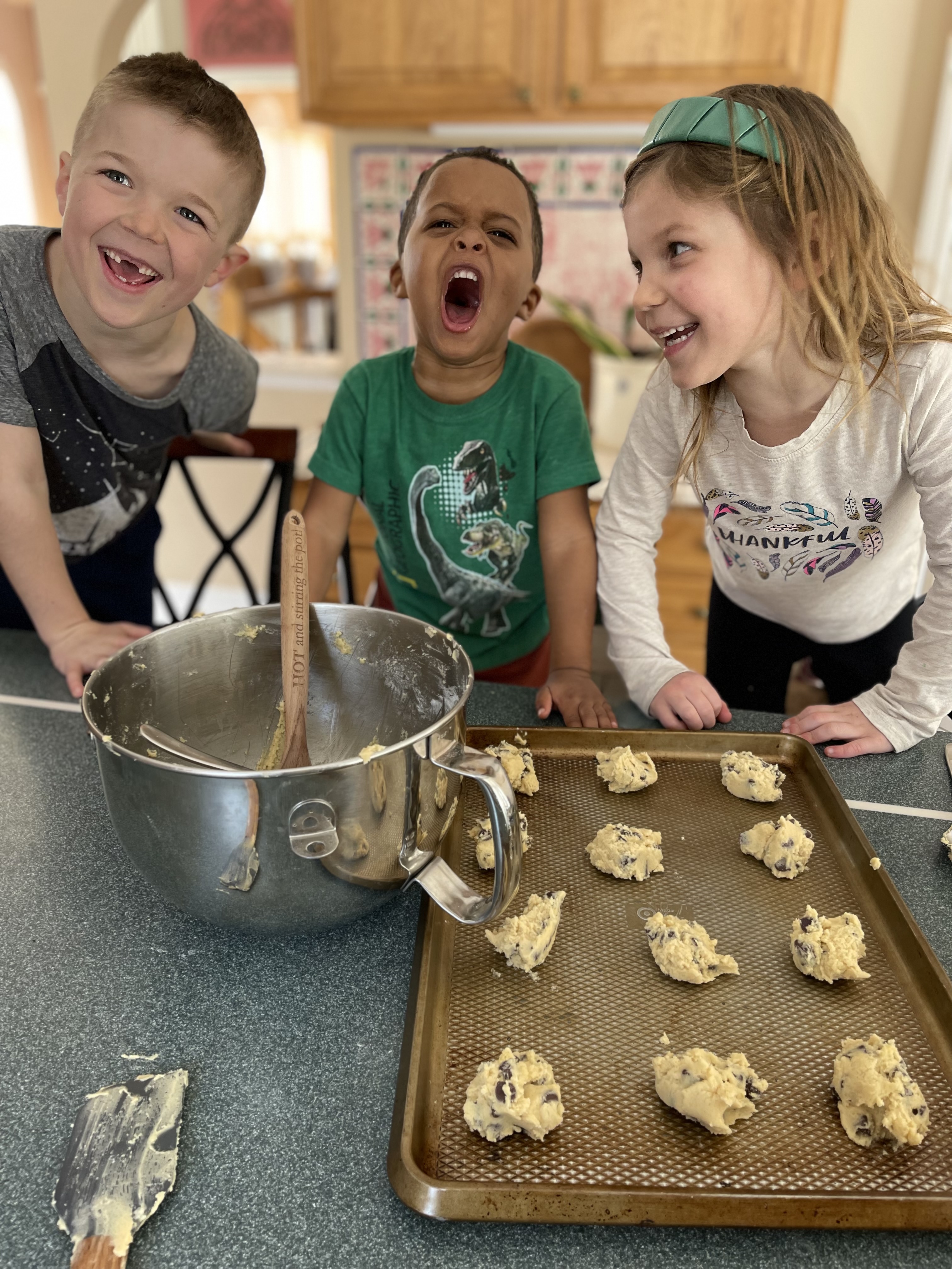 Cookies and Snow and Wishing for Spring