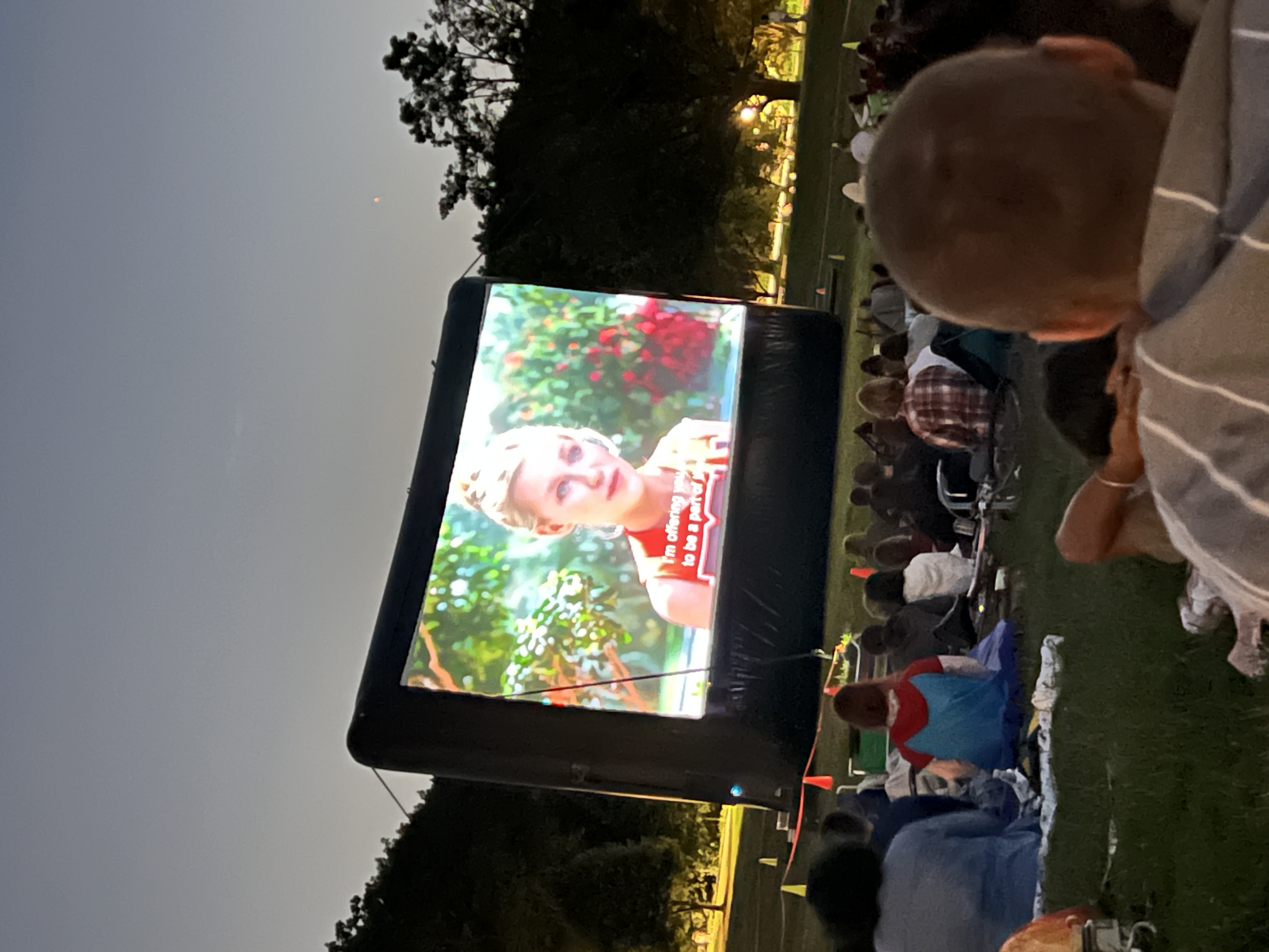 Movie in the Park