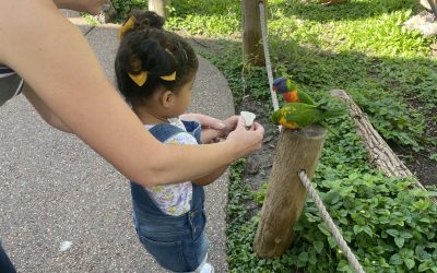Zoo Day! – 07/30/23