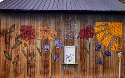 Beautifying the Homestead