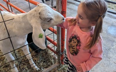 Open Adoption Memories