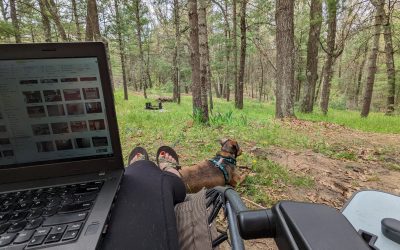 That Summer Feeling (A Belated Update About our May and June!)