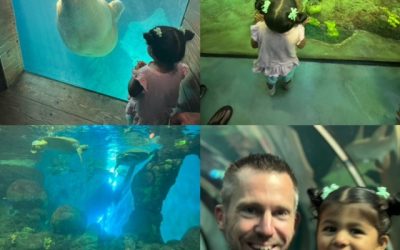 Sea World in San Diego – 10/06/23