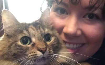 Raindrops on Roses & Whiskers on Kittens