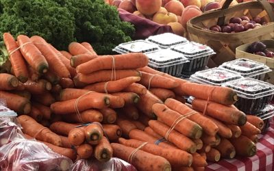 A Day with Mom and Me