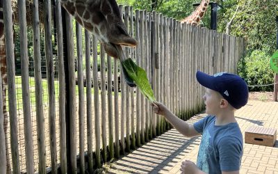 A 7-Year-Old’s Bucket List