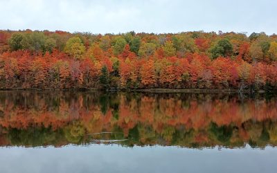 Fall is in Full Swing!