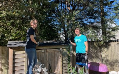 Helping with House Projects