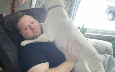 Planning and preparing