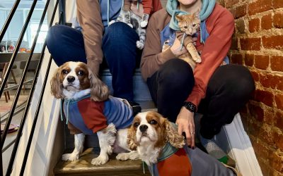 Happy lunar new year