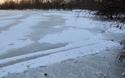 Frozen Lake