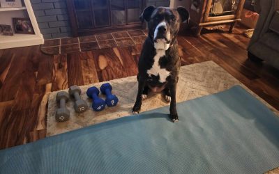 Self focus and changes