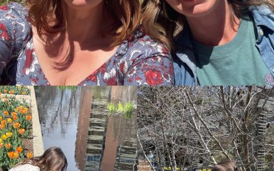 Botanic gardens (4/15)