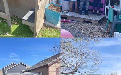 Our friends are here! (4/12)