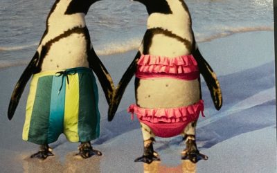 What Kind of Movie Do Penguins Like to watch?