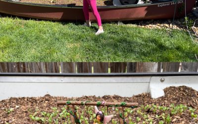 New flower garden 5/8