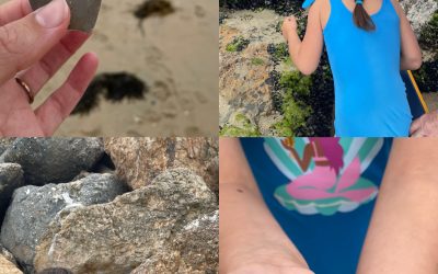 So many cool beach finds