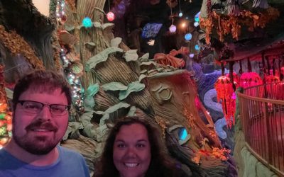 What is Meow Wolf?
