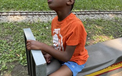 Miniature train