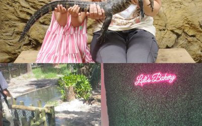 Florida—last full day (part one)
