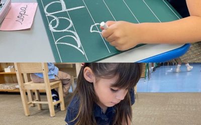 Back to school after break (10/20)